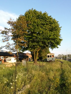 Industrial 7