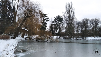 Warsaw Walk 14