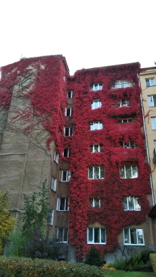 Street 3